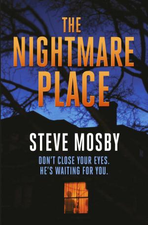 Cover of the book The Nightmare Place by Keith Roberts