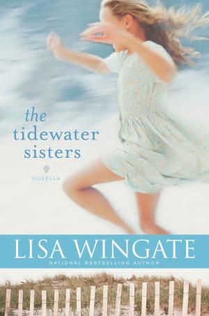 Cover of the book The Tidewater Sisters by Dimas Salaberrios