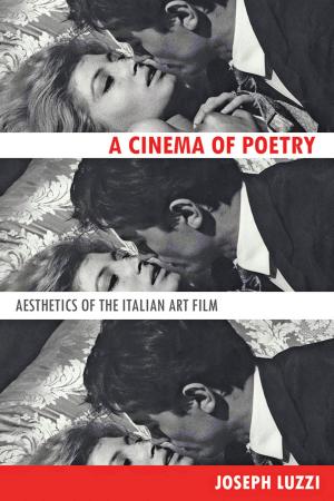 Cover of the book A Cinema of Poetry by Daniel W. Webster, Jon S. Vernick
