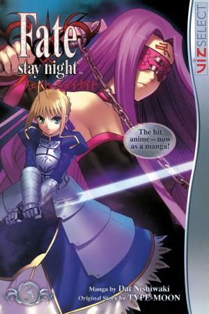 Cover of the book Fate/stay night, Vol. 3 by Naoshi Komi