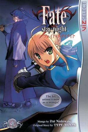 bigCover of the book Fate/stay night, Vol. 4 by 