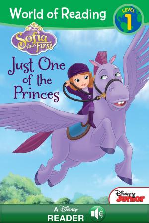 Cover of the book Sofia the First: Just One of the Princes by Fabio Michelini