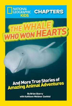 Book cover of National Geographic Kids Chapters: The Whale Who Won Hearts