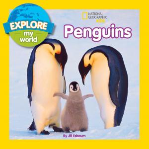Cover of the book Explore My World Penguins by Laura Marsh