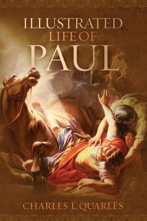 Cover of the book The Illustrated Life Of Paul by Stephen Kendrick, Alex Kendrick, Randy Alcorn