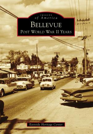 Cover of the book Bellevue by Robert Bloomberg, Daniel Bird