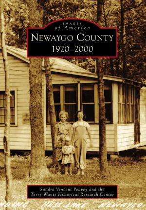 Cover of the book Newaygo County by Timothy Holmes, Libby Smith-Holmes