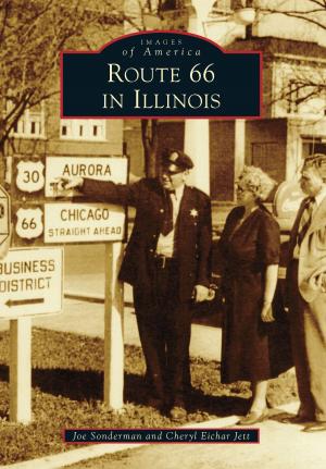 Cover of the book Route 66 in Illinois by Leroy Radanovich