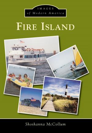 Cover of the book Fire Island by Donna M. DeBlasio, Martha I. Pallante, Amherst Historical Society