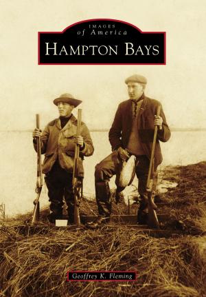 Book cover of Hampton Bays