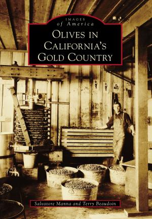 Cover of the book Olives in California's Gold Country by Alastair Scott