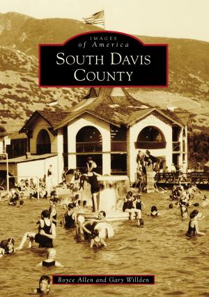 Cover of the book South Davis County by Dennis McGeehan
