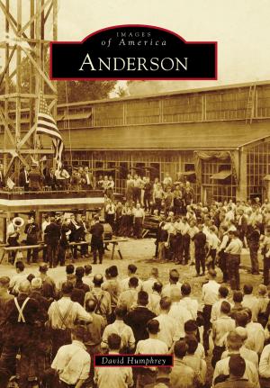 Cover of the book Anderson by Steve A. Larsen