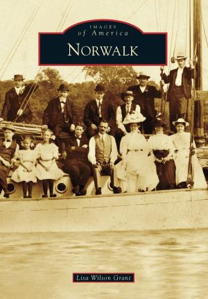 Cover of the book Norwalk by Keven McQueen
