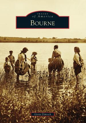 Cover of the book Bourne by Gregg Seidl