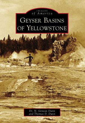 Cover of the book Geyser Basins of Yellowstone by Fern K. Meyers, James B. Atkinson