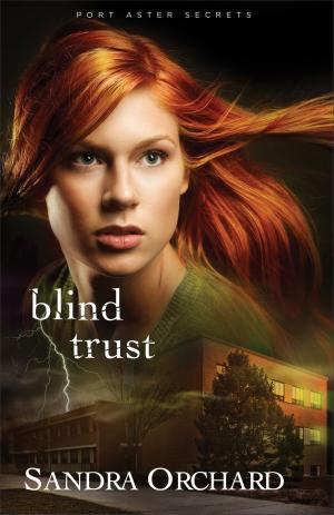 bigCover of the book Blind Trust (Port Aster Secrets Book #2) by 