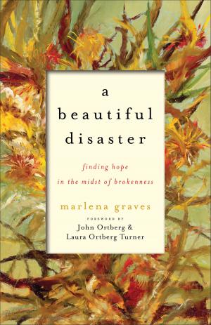 Cover of the book A Beautiful Disaster by Beverly Lewis