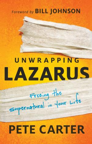 Cover of the book Unwrapping Lazarus by Neil T. Anderson, Dave Park