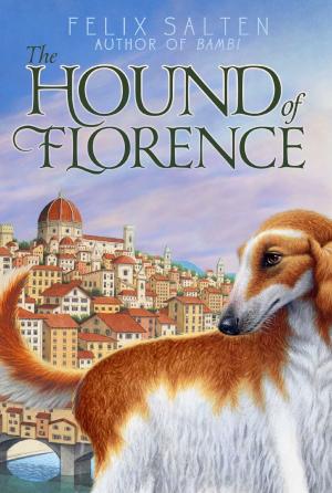Cover of the book The Hound of Florence by Franklin W. Dixon