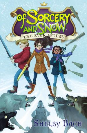 Book cover of Of Sorcery and Snow