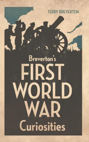 Cover of the book Breverton's First World War Curiosities by Mervyn Edwards