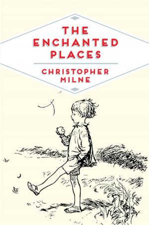 Book cover of The Enchanted Places