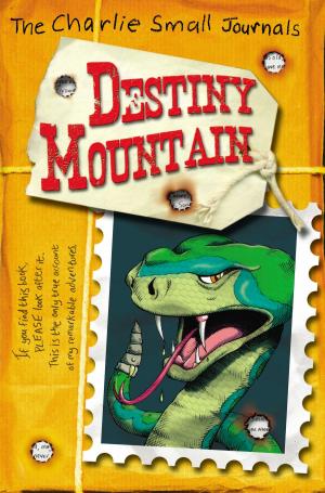 Book cover of Charlie Small: Destiny Mountain