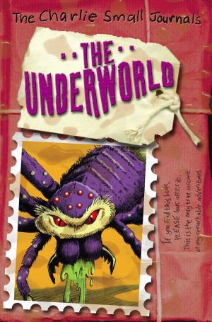 Book cover of Charlie Small: The Underworld