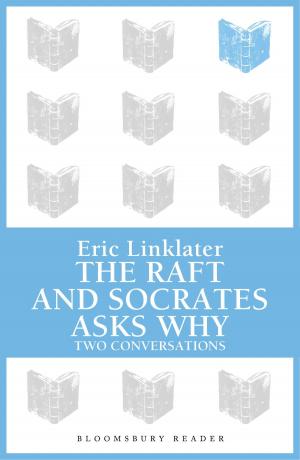 Book cover of Raft, The / Socrates Asks Why