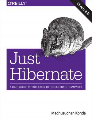 Cover of the book Just Hibernate by Brett McLaughlin
