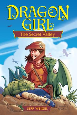 Cover of the book Dragon Girl: The Secret Valley by Marcy Silverman, Cindy Sacks
