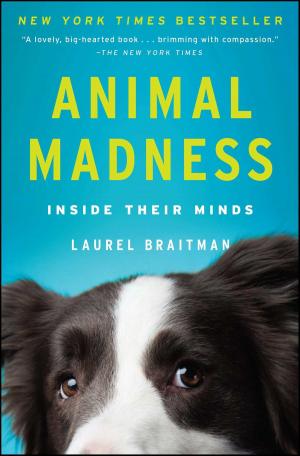 Cover of the book Animal Madness by Dalton Conley