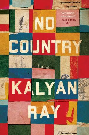 Cover of the book No Country by Michael Grunwald