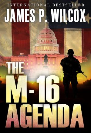 Book cover of The M-16 Agenda