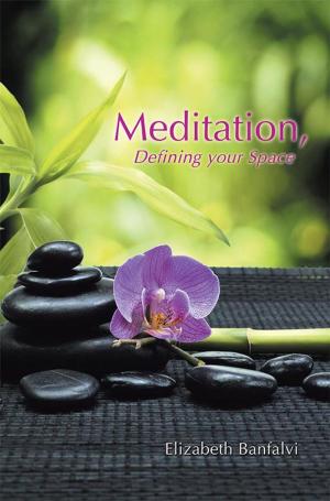 Cover of the book Meditation, Defining Your Space by Al Contrera