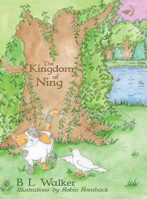 Book cover of The Kingdom of Ning