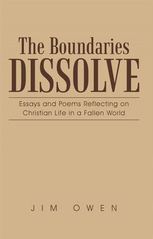 Cover of the book The Boundaries Dissolve by Shiny Burcu Unsal