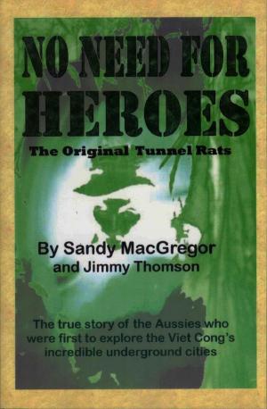 Cover of the book No Need for Heroes by Martin McMahon