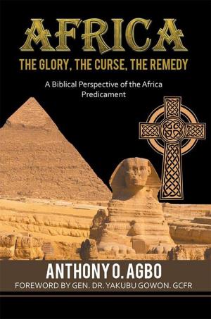 Cover of the book Africa: the Glory, the Curse, the Remedy by Ruth Temple Taul