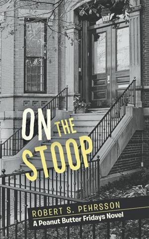 Cover of the book On the Stoop by Nadezhda Seiler