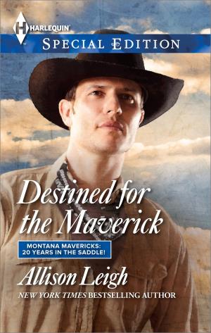 Cover of the book Destined for the Maverick by Janice Kay Johnson