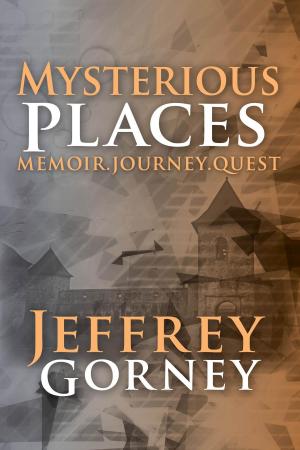Cover of the book Mysterious Places by Murali Murthy
