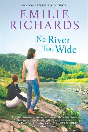 Cover of the book No River Too Wide by Taylor Smith