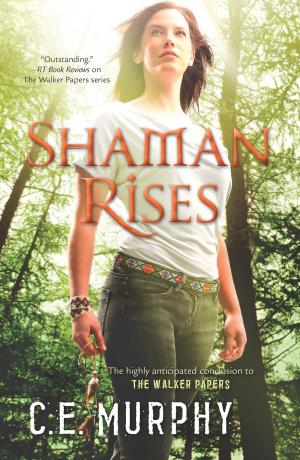Cover of the book Shaman Rises by Sheila Roberts