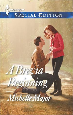 Cover of the book A Brevia Beginning by Brenda Novak