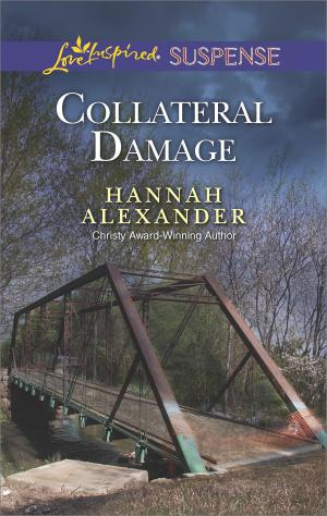Cover of the book Collateral Damage by Lindsay Evans