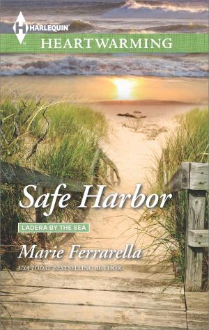 bigCover of the book Safe Harbor by 