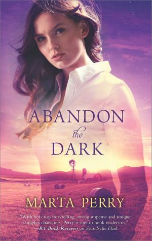 Cover of the book Abandon the Dark by Candace Camp