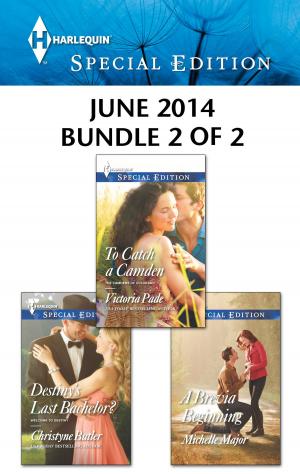 Book cover of Harlequin Special Edition June 2014 - Bundle 2 of 2